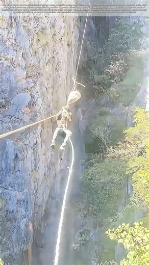 Between the Peaks: What One Rope Teaches About Trust