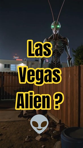 Las Vegas Alien Caught Peeking Over Fence? 👽