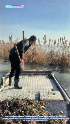 Harvesting the Catch: Fishing with a Net