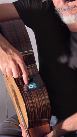 Stranger Things Acoustic Cover with Built-in Looper