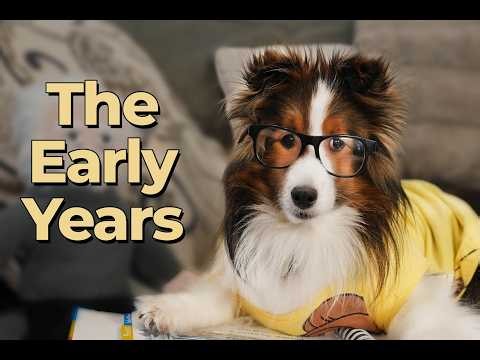 Cricket Made Us Laugh From the Very Beginning ❤️🐶 Remembering Cricket e489