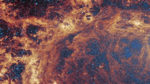 The barred spiral galaxy M83 is revealed in detail by the NASA/ESA/CSA James Webb Space Telescope. M83, which is also known as NGC 5236, was observed by Webb as part of a series of observations collectively titled Feedback in Emerging extrAgalactic Star clusTers, or FEAST. Another target of the FEAST observations, M51, was the subject of a previous Webb Picture of the Month. MIRI, or the Mid-InfraRed Instrument, makes observations in the mid-infrared, which spans wavelengths of light very differ