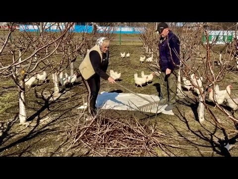 How people survive in a Ukrainian village🏡/The story of Tatyana and Oleg.