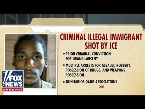 DHS: ICE agent shoots wanted illegal migrant