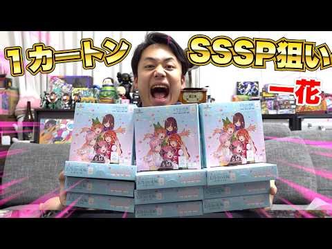 【最新弾】五等分の花嫁１カートン開封してサイン入りカードをゲットしろ！！