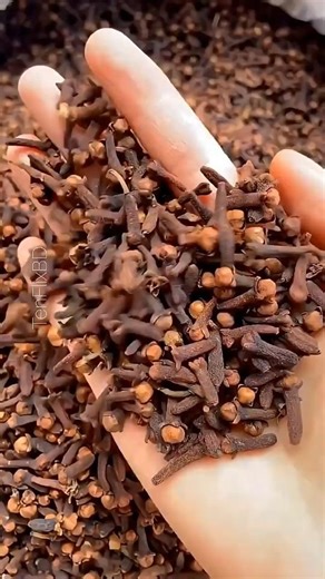 This Spice Is Actually a Flower 😱🌸 | Clove from Tree to Kitchen #Shorts #Clove #farming