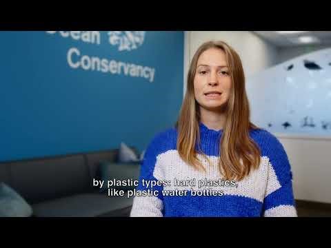 When Plastic Becomes Lethal: Risks to Marine Wildlife