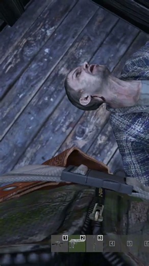 Dayz! The Second One Always Gets You...