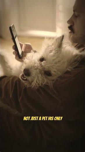 “A Man and His Dog 🐶 Loyalty That Never Leaves (Emotional)”