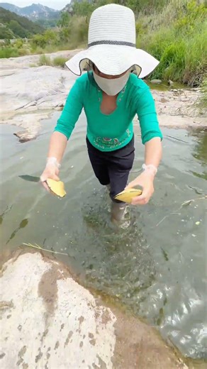 Giant Pearl Scallops vs. Freshwater Snails: Which Makes More Pearls?