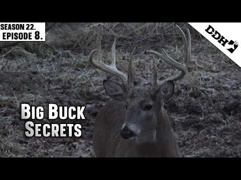 Big Buck Secrets | Deer & Deer Hunting TV