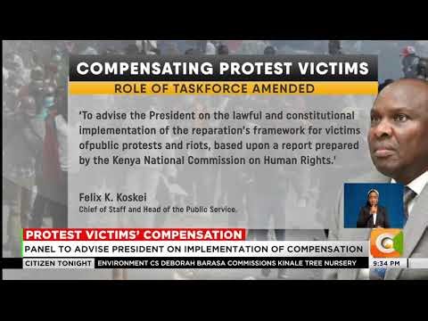 Govt turns protest victims’ compensation panel into advisory body
