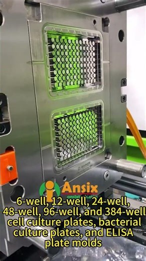 6-well, 12-well, 24-well, 48-well, 96-well, and 384-well cell culture plates #ansix #injection