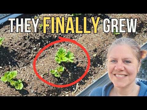Everything is Exploding | Just 1 Week Later!