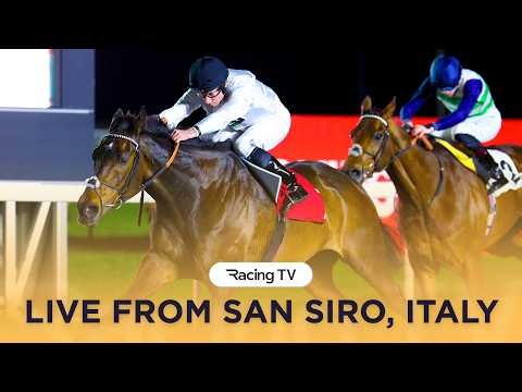 LIVE: Constitution Hill in the Gran Premio del Jockey Club | San Siro | Racing TV