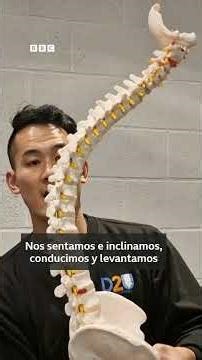 Cómo el movimiento ayuda a prevenir y aliviar el dolor de espalda