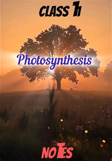🪴Photosynthesis in Higher Plants🌳 Class 11 Notes 📝 |Part 1 #studynotes ‪@AestheticBiologyNotes‬