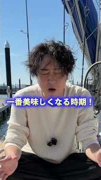 今一番お勧めしたい魚はこれかもしれない....