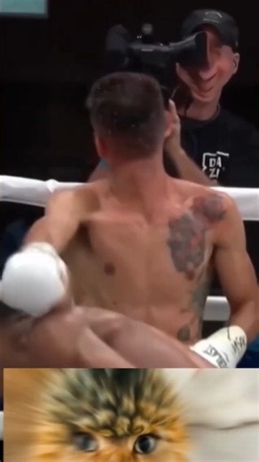 boxing 2026 latest fight,boxing news,boxing 2025 latest fight,boxing highlights,boxing