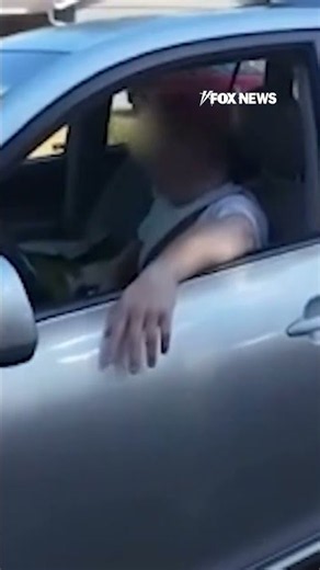 WATCH: Police K9 TAKES DOWN suspect #foxnews #news #us #fox