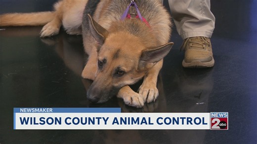 Newsmaker: Wilson County Animal Control