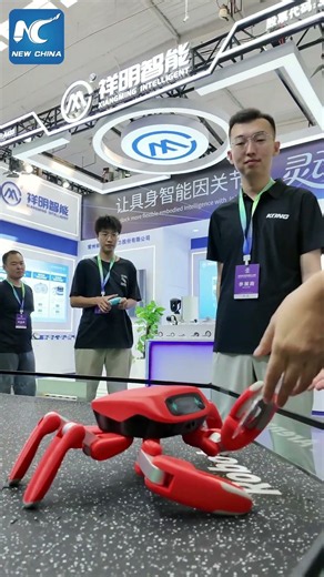 Eye-catching crab robot at World Robot Conference