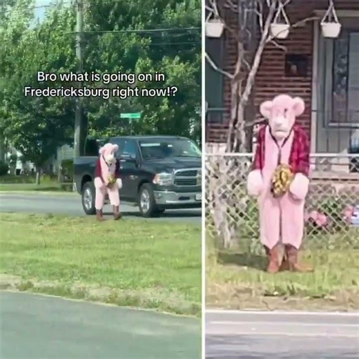 xd