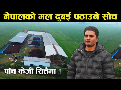 पाँच केजी गँड्यौला सित्तैमा दिने,मल दुबई पठाउने - Earthworm farming