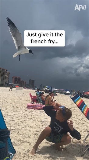 It's not worth it, little bro... 🤣 #afv #fail #funny | America's Funniest Home Videos