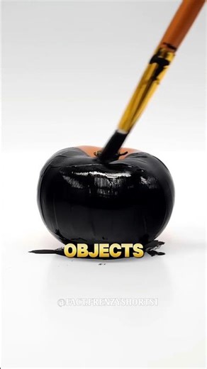 World’s Brightest Flashlight vs Darkest Black 😳🔥