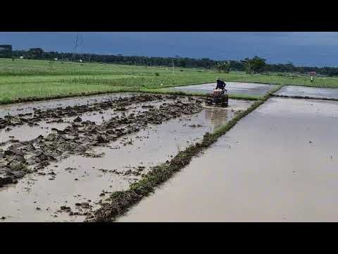 INCREDIBLE MODERN FARMING: HIGH-SPEED RICE FIELD PLOWING TECHNOLOGY!-agriculture farming