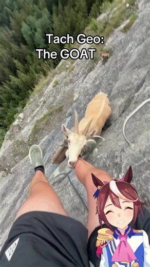 Goat Facts: What Makes the GOAT Unique