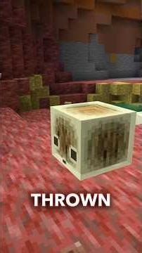 SULFUR BIOME & SULFUR CUBE ADDED TO MINECRAFT!