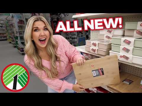 18 NEW DOLLAR TREE secrets to simplify your life!