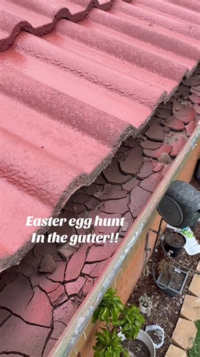 Easter Egg Hunt Ideas for Families