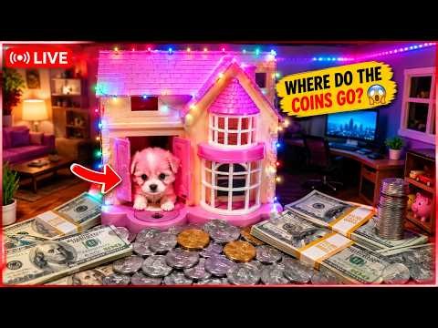 ASMR Coins Sound Satishfying ASMR🪙 😍#live #shorts #satisfying #shortsfeed