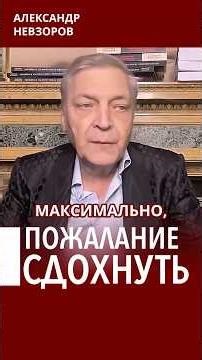 Зеленский доходчиво высказал желание всего мира #невзоров