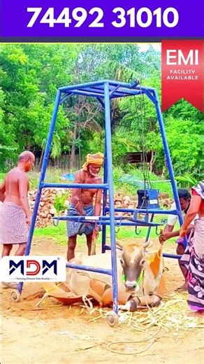மாட்டுப்பண்ணையை சுத்தமாக வைக்க நம்ம | MDM ன் COW MATT |