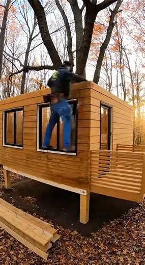 Treehouse Built Around Living Tree! 🌳✨ #beforeandafter #diy