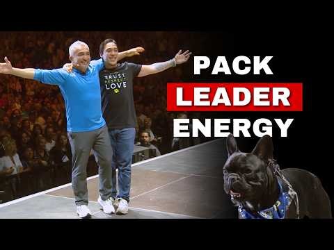 The Secret to Controlling Any Dog | Live Dog Demo