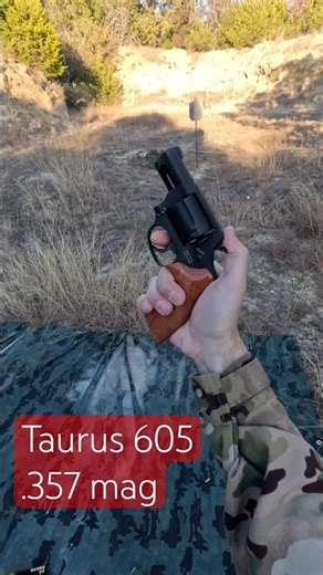 .357 Magnum | Taurus 605 Revolver #revolver357 #taurusgx4