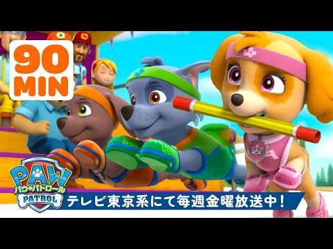 パウ・パトロール | PAW Patrol、ゴールへダッシュ！🏆🏁 Rocky、Skyeほか登場！ | 90分 | テレビ東京系にて放送中