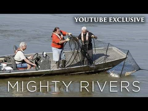 Using Hoop Nets To Catch Fish That Nearly Disappeared Forever | Unseen Footage | Mighty Rivers