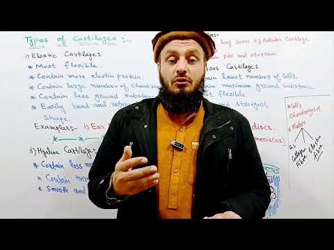 Unit#13-Lecture#07|| Biology 10th (Pashto) || Topic:- Types of Cartilages