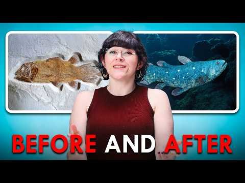 The Animals That Came Back From Extinction