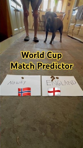 The Wolfpack World Cup Match Predictor - England 🏴󠁧󠁢󠁥󠁮󠁧󠁿 v Norway 🇳🇴
