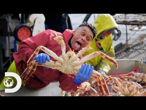 Bering Sea Crab Fleet Gambles Everything in Typhoon Halong | Deadliest Catch