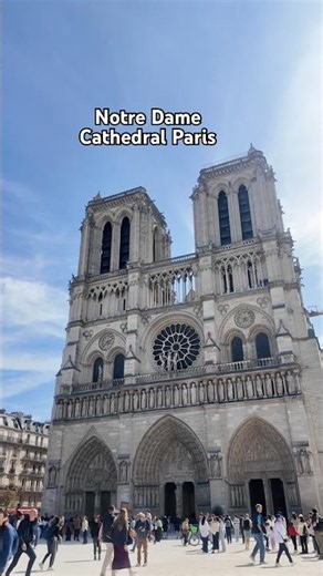 The. Notre Dame Cathedral Paris #travel #parisdiaries #paris #cathedral #notredame
