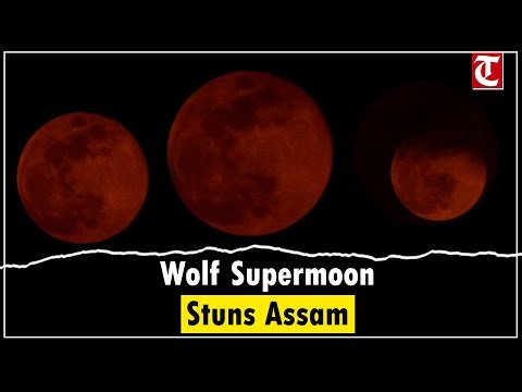 Wolf Supermoon Lights Up Assam Sky, Rare Celestial Event Visible