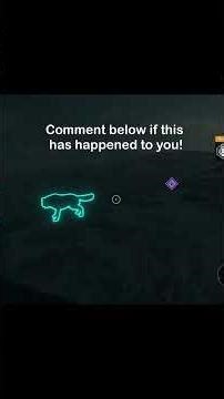 Getting stalked by a pack of wolves in the Yukon valley theHunter COTW